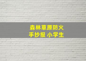 森林草原防火手抄报 小学生